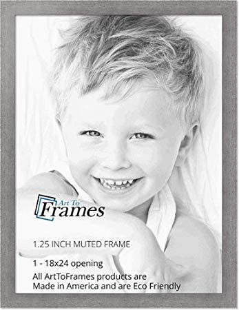 ArtToFrames 18x24 inch Muted Cold Silver Picture Frame, WOMBW26-1621-18x24