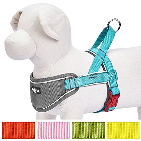 Blueberry Pet 5 Colors Soft & Comfortable 3M Reflective Strips Nylon Neoprene Padded Training Dog Harness