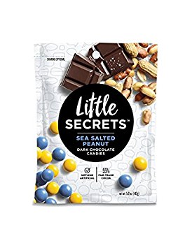 Little Secrets - Gourmet Chocolate Candy - Dark Chocolate Sea Salted Peanut {5 oz., 1 Count} - The World's Most Unbelievably Delicious Chocolate Candies
