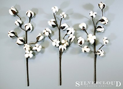 Cotton Stems - 3 Stems/Pack - 10 Cotton Buds/Stem - 20" Tall - Farmhouse Style Floral Display Filler