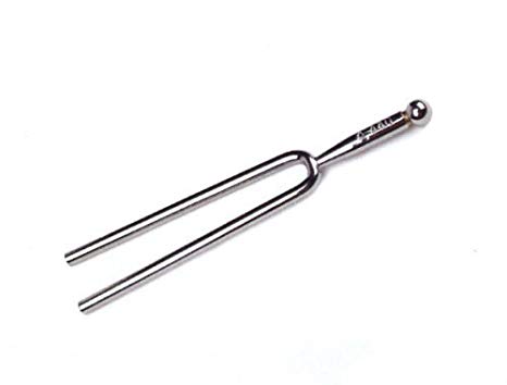 A Tuning Fork - "A" 440 Hz with Soft Shell Case