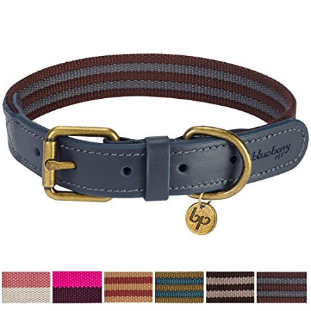 Blueberry Pet Multi-colored Stripe Dog Collar Collection - 11 Colors 3M Reflective Collars, 6 Colors Staple Striped Genuine Leather Collars, Matching Leash & Harness Available Separately
