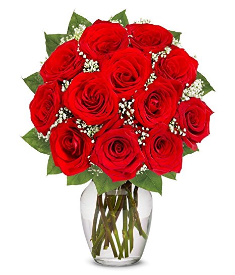 Flowers - One Dozen Long Stemmed Red Roses (Free Vase Included)