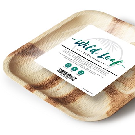 All Natural Palm Leaf Plates, 25 Pack / 10 Inch. Elegant and Eco Friendly Disposable Dinner Plates by Wild Leaf