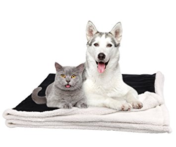 Pawsse Dog Cat Puppy Large Snuggle Blanket, Soft Warm Plush Sherpa Micro Fleece Pet Throws Cushion Mat for Small Animals 60”x49”