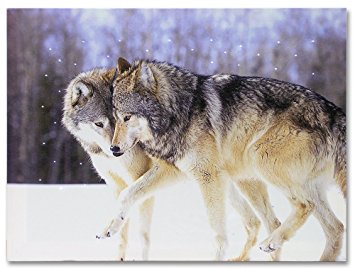 Kissing Wolves LED Lighted Canvas Print Home Decor - Frolicking Grey Wolves Nuzzling in a Snowy Winter Forest Scene - 16x12 Inch