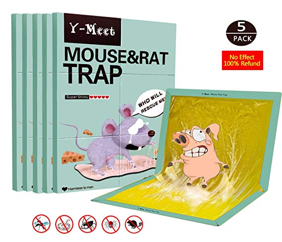 Mouse Glue Traps,5-Pack Extra Large Mouse Glue Boards,Scent Free Non-Poisonous Super Sticky Rat Glue Trap,Suitable for Rat and Mice and Household Pests,Perfect Use for Indoor and Outdoor (Green)