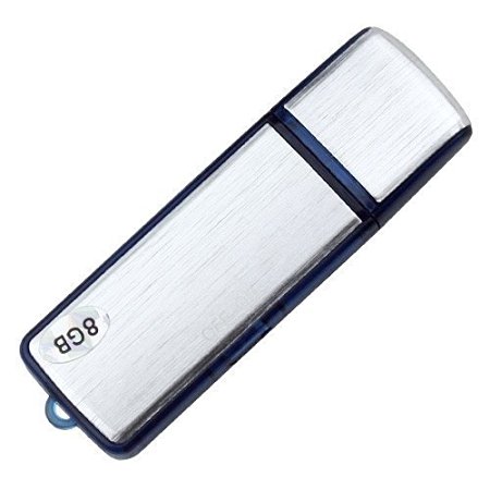 4GB USB MEMORY STICK FLASH DRIVE DIGITAL VOICE RECORDER DICTAPHONE * Over 48 hours record time