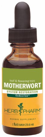 Herb Pharm Certified Organic Motherwort Extract for Endocrine System Support - 1 Ounce