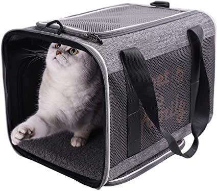 petisfam Large Cat Carrier Designed Especially for Sensitive Cats