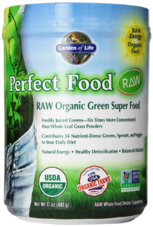 Garden of Life Perfect Food RAW Organic Powder 481g Powder