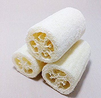DELIFUR 4 Pcs Natural Loofah, 4 inches Loofah Sponge Exfoliating Towel and Goes for Bath or Kitchen