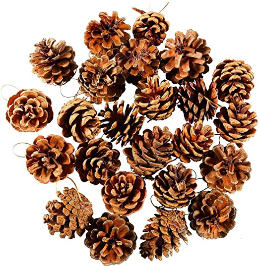 Cooraby 24 Pieces Pine Cones Ornament Natural PineCones With String Pendant Crafts for Gift Tag Tree Party Hanging Decoration (Natural)