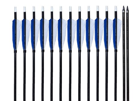 Zpy 31 Inches Fletching 5'' Natural Feather Targeting/hunting Archery Fiberglass Arrows with Changeble Tips for Recurve Bow and Long Bow