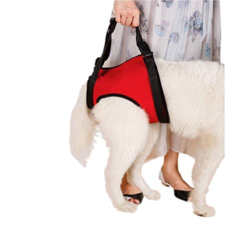 Dogs Lift Harness - Dogs Lift Support Rehabilitation Harness Helping Support for Elderly or Arthritis Dogs