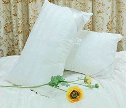 Soft Silker Silk Pillows Silk Down Pillows National Standard Long Mulberry Silk Silkworm Filled(One Pack)