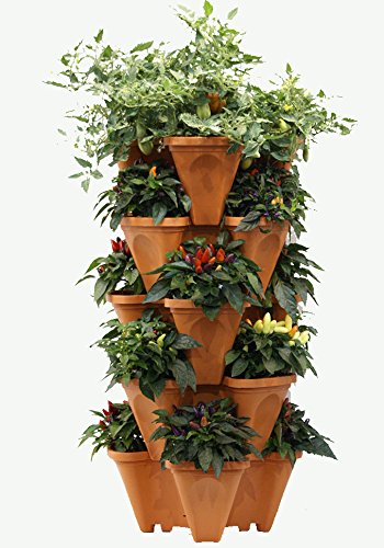 LARGE Vertical Gardening Stackable Planters by Mr. Stacky - Grow More Using Limited Space And Minimum Effort - Plant. Stack. Enjoy. - Build Your Own Backyard Vertical Garden - DIY Stacking Container System - For Growing Strawberry, Tomato, Pepper, Cucumber, Herbs, Lettuce, Greens, & Much More - Indoor or Outdoor - Stackable Pots (5)