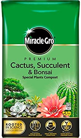 Miracle Gro Premium Cactus Succulent Bonsai Compost With Vital Minerals 6L Bag