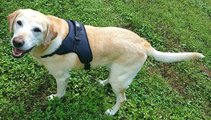 Dog Harness -New 2017- No Pull Reflective Big Dog Harness with Handle for Large Breed Freedom Walking Training Adjustable No-Choke Premium Quality with Security Safety Clip (XL)