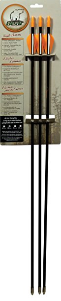 Bear Archery Youth Safetyglass Target Arrows (3 per card)
