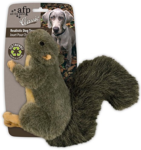 All for Paws Classic Squirrel Pet Toys