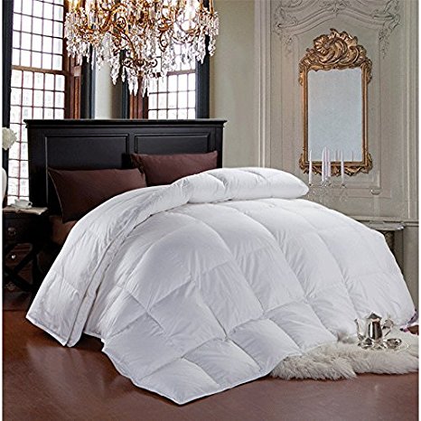 Cheer Collection Luxury All Season White Goose Down Alternative Comforter (King)