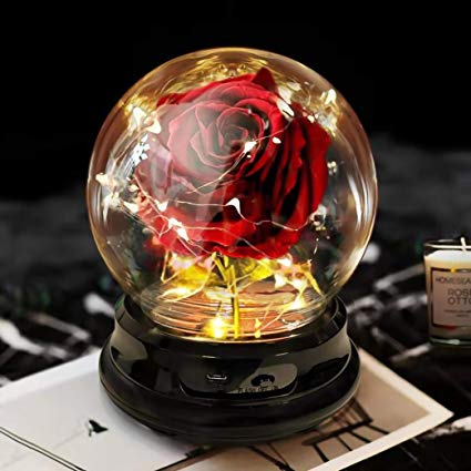 Deluxsa Enchanted Red Silk Rose,Beauty and The Beast Rose Kit with Fallen Petals in A Light Dome,Preserved Rose for Home Decor, Anniversary,Mothers Day