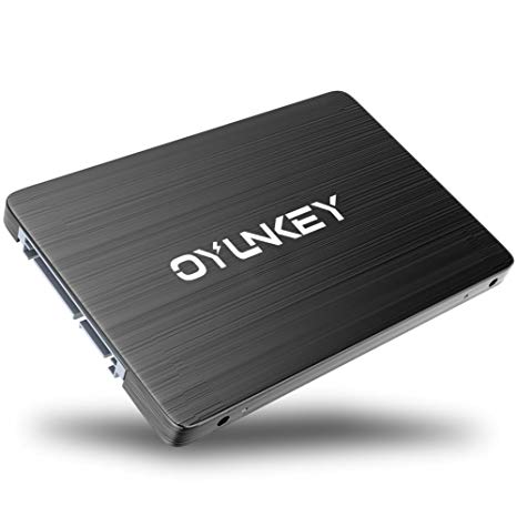 OYUNKEY 480GB SSD SATA III(6.0Gb/s) solid state drive 2.5 Inch 3D NAND SSD Internal Hard Drive for Laptop PC Desktop (E PRO-480)