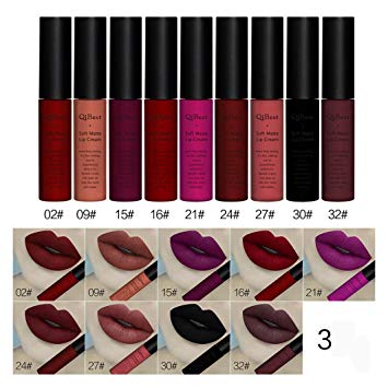 LLGUZ Assorted 9 color Lipstick Waterproof Matte Liquid Long Lasting Lip Gloss (C)