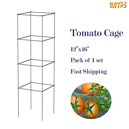 MTB Galvanized Square Folding Tomato Cage Plant Support Tower 12 inch by 46 inch, Pack of 1 set