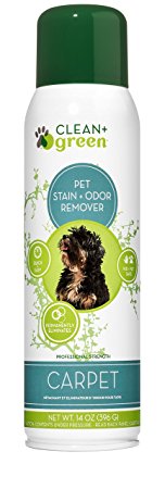Professional Strength Carpet, Area Rug, Upholstery Pet Odor Eliminator and Stain Remover for Dogs, 14-Ounce