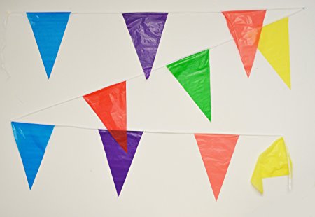 100 Foot Multicolor Pennant Banner