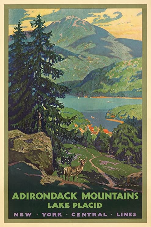 New York Central Lines - Adirondack Mountains - (artist: Greene, Walter L. c. 192) - Vintage Advertisement (9x12 Art Print, Wall Decor Travel Poster)