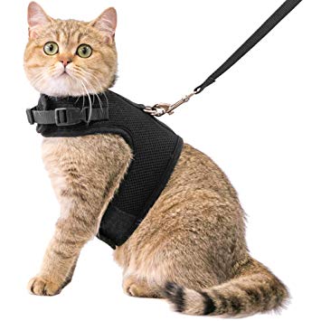 CHERPET Cat Harness and Leash - Escape Proof Safety Adjustable Jackets Harnesses 1.5m Strap Easy for Walking Outdoor Outfits Soft Mesh Breathable Vest Black Comfort Fit for Small Animals …