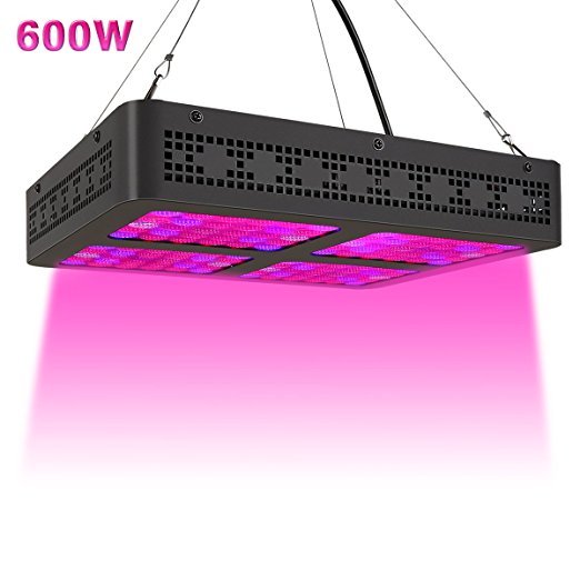 600W LED Grow Light, DXgrow Full Spectrum Growing Lamp with Daisy Chain Function for Greenhouse Hydroponic Aquatic Indoor Plants Veg and Flower