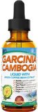 EarthWell Liquid Garcinia Cambogia with Green Coffee Bean Extract - Best and Fastest Natural Weight Loss and Appetite Suppression Drops - Two Potent Supplements in One Bottle - 2 Oz - Money Back Guarantee
