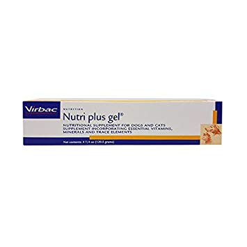 Virbac Nutri-plus Gel Nutritional High Calorie Energy Supplement with 5 ML Hand Feeding Syringe