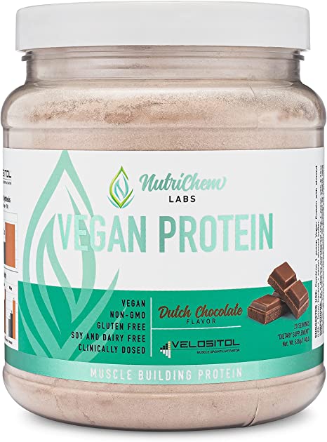 Vegan Protein- Plant Based Protein - All Natural Vegan & Keto Protein with for Increasing Recovery, Muscle Building, & Performance - Protein Synthesis, Plant Based Chocolate Protein - 20 Servings