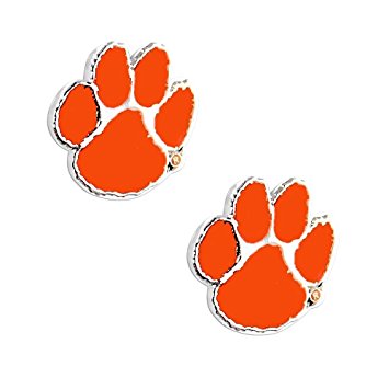 Clemson Tigers NCAA Post Stud Earring Set Charm Gift