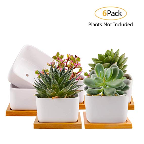 Succulent Pots, MEckily White Mini 3.42 inch Ceramic Flower Planter Pot with Bamboo Tray,Small Cactus Planters, Flower Pots with Drainage Hole, White, Pack of 6 (Plants NOT Included)