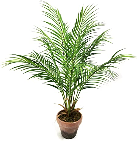 WANGYANG Artificial Palm Tree with Imitation Ceramic Pot Indoor Artificial Mini Paradise Palm Tree, 28 inches Tall, Green -1 Pack